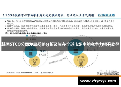 韩国STCO公司发展战略分析及其在全球市场中的竞争力提升路径