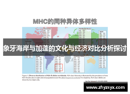 象牙海岸与加蓬的文化与经济对比分析探讨